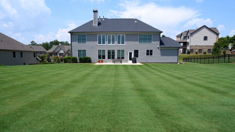 An Organic Approach to Care for Your Lawn